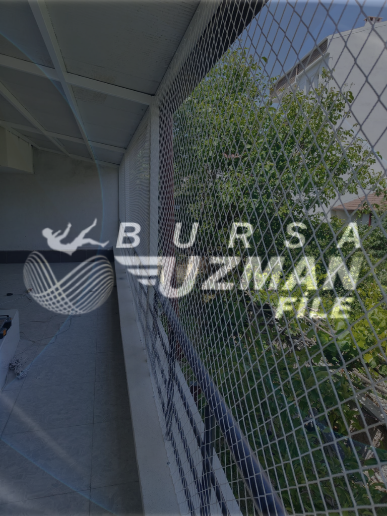 Bursa Kedi Filesi